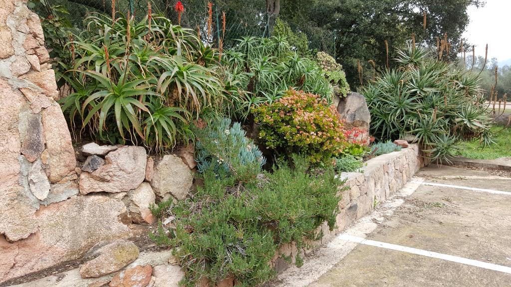 Corsica Hostel Porto-Vecchio, Partie Dortoirs Ngoại thất bức ảnh